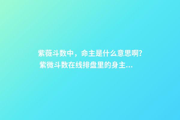 紫薇斗数中，命主是什么意思啊？ 紫微斗数在线排盘里的身主和命主怎么看-第1张-观点-玄机派